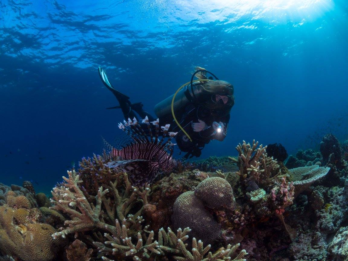 Tawali Resort diving in Papua New Guinea
