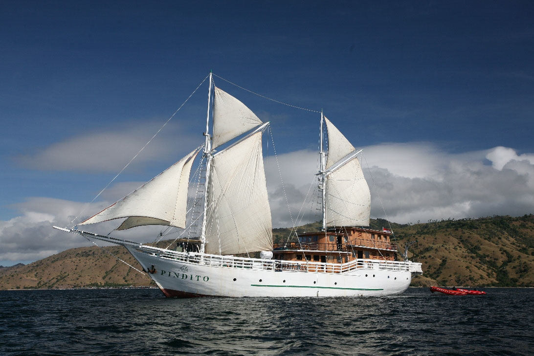 Dive cruises in Komodo with Pindito