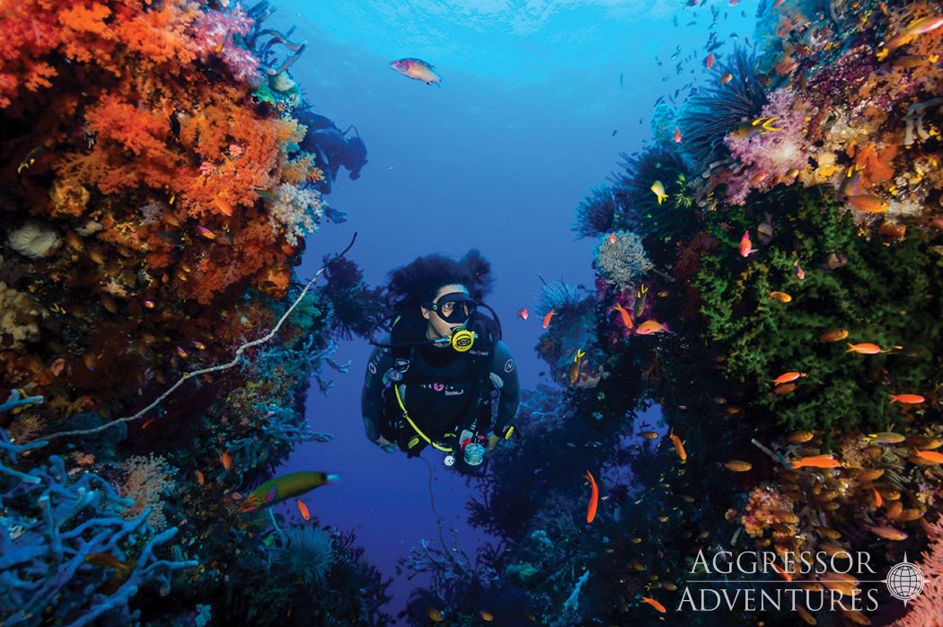 Dive cruises with Raja Ampat Aggressor
