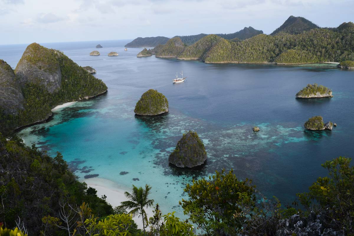 Dive cruises in Raja Ampat with Samambaia