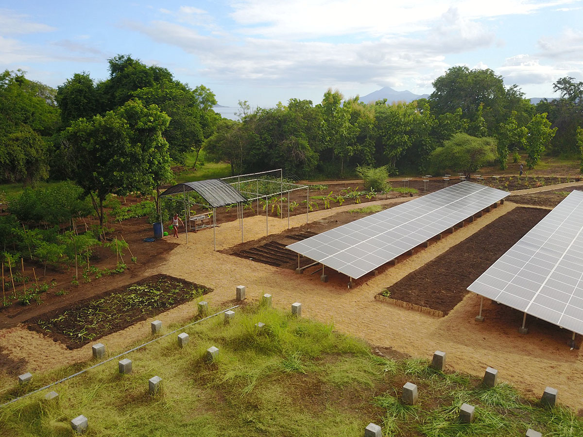 Permaculture farm at Savu South Alor Resort
