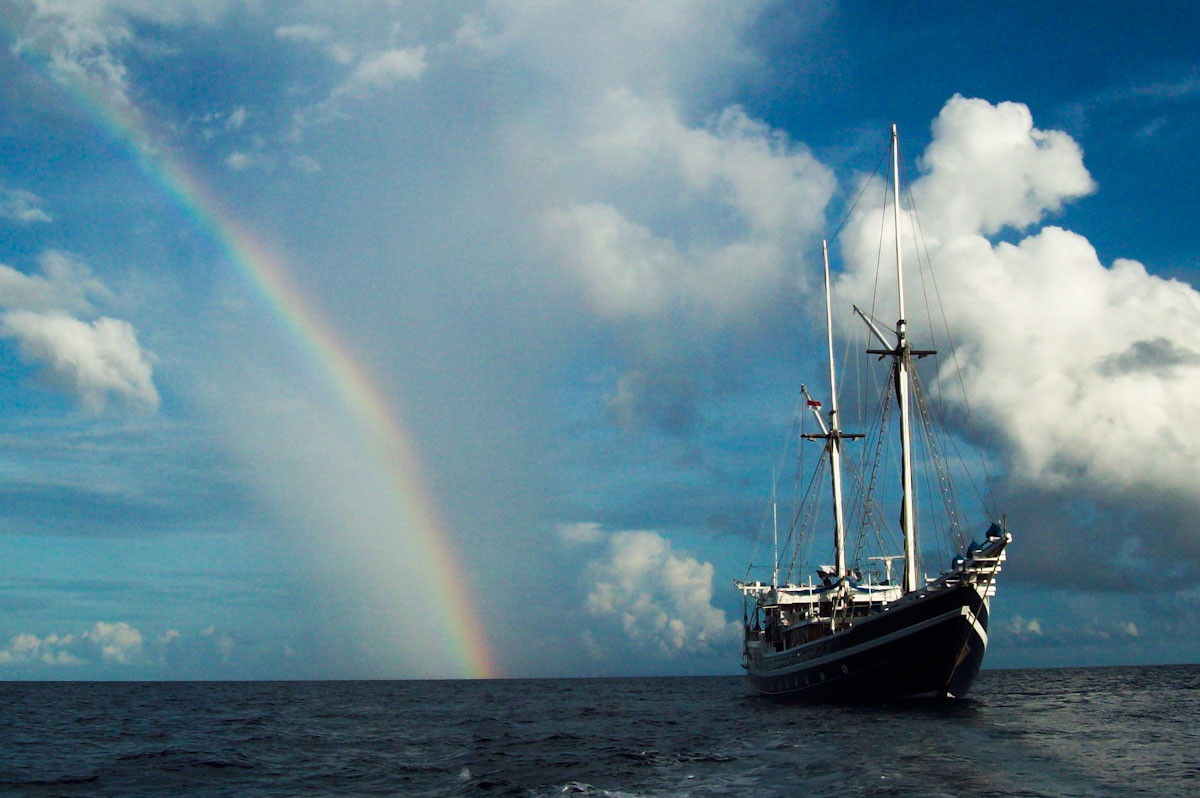 Banda Sea dive cruise with MSY Seahorse