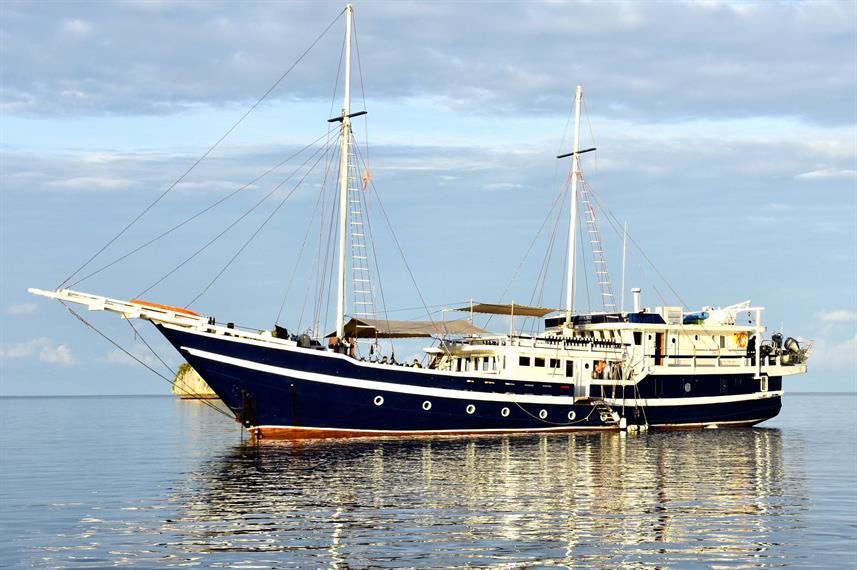 Seahorse is a Phinisi liveaboard designed for diving