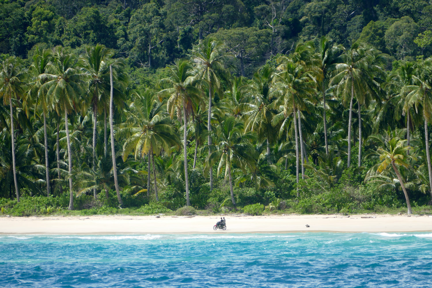 Sumatra beach
