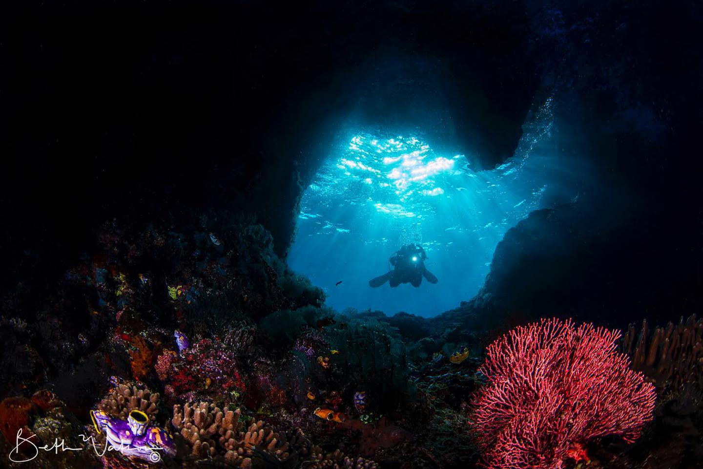 Dive cruises in Raja Ampat with Tiare Liveaboard
