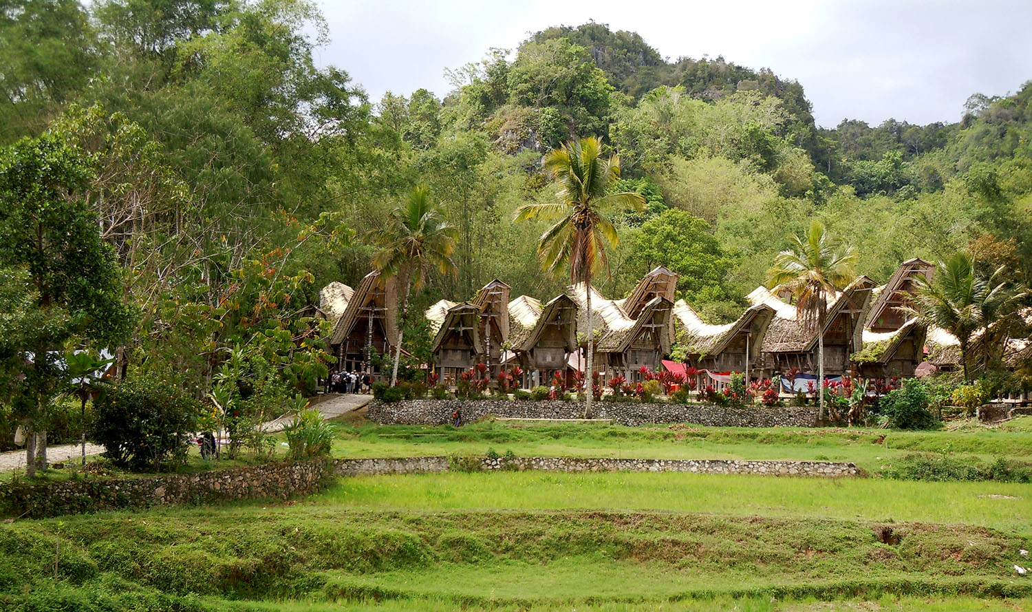 Toraja village with characteristic Tongkonans
