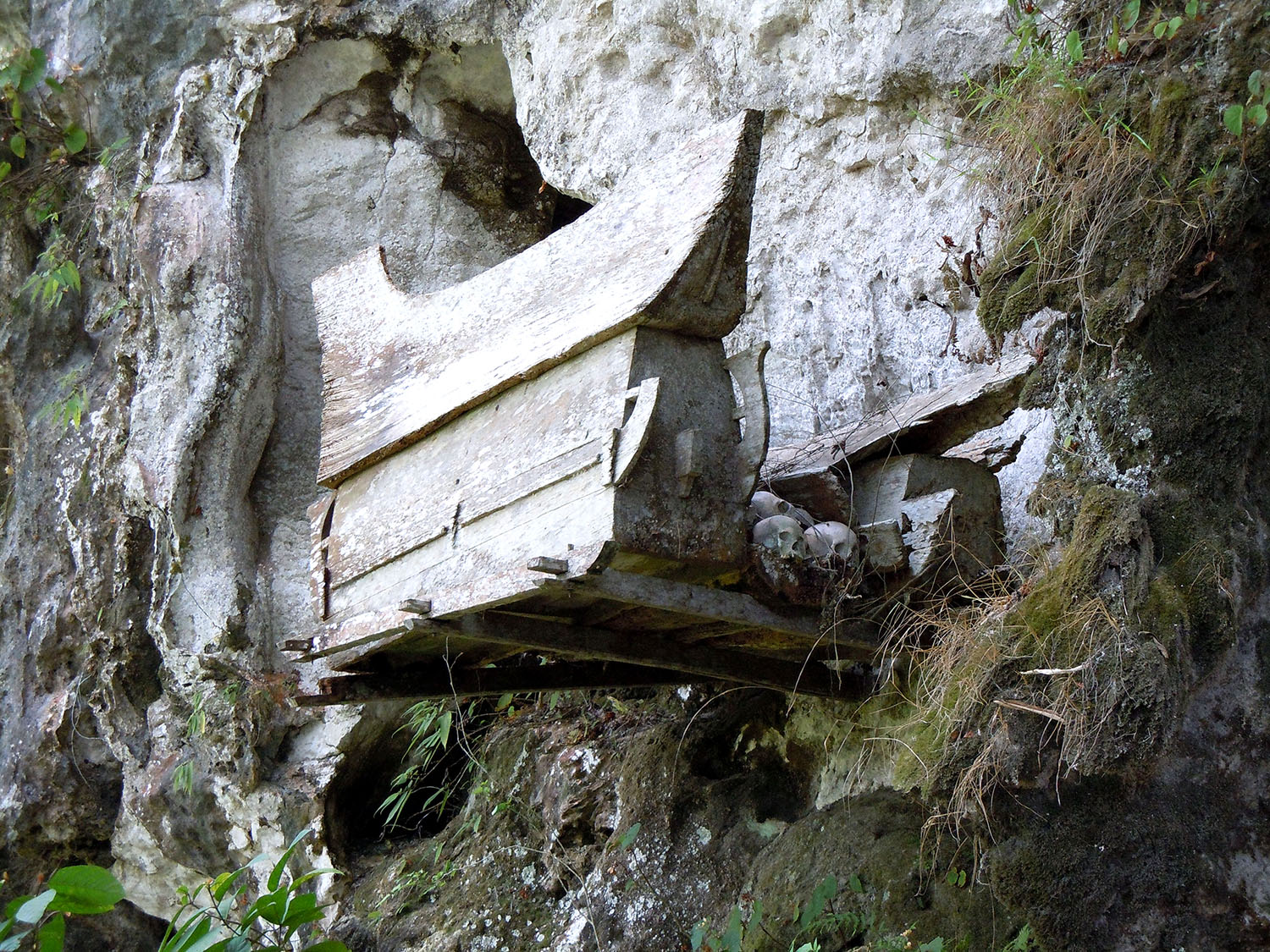 Toraja’s hanging coffin on cliff
