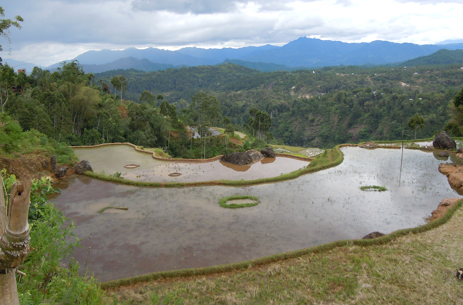 Highlands of Tana Toraja
