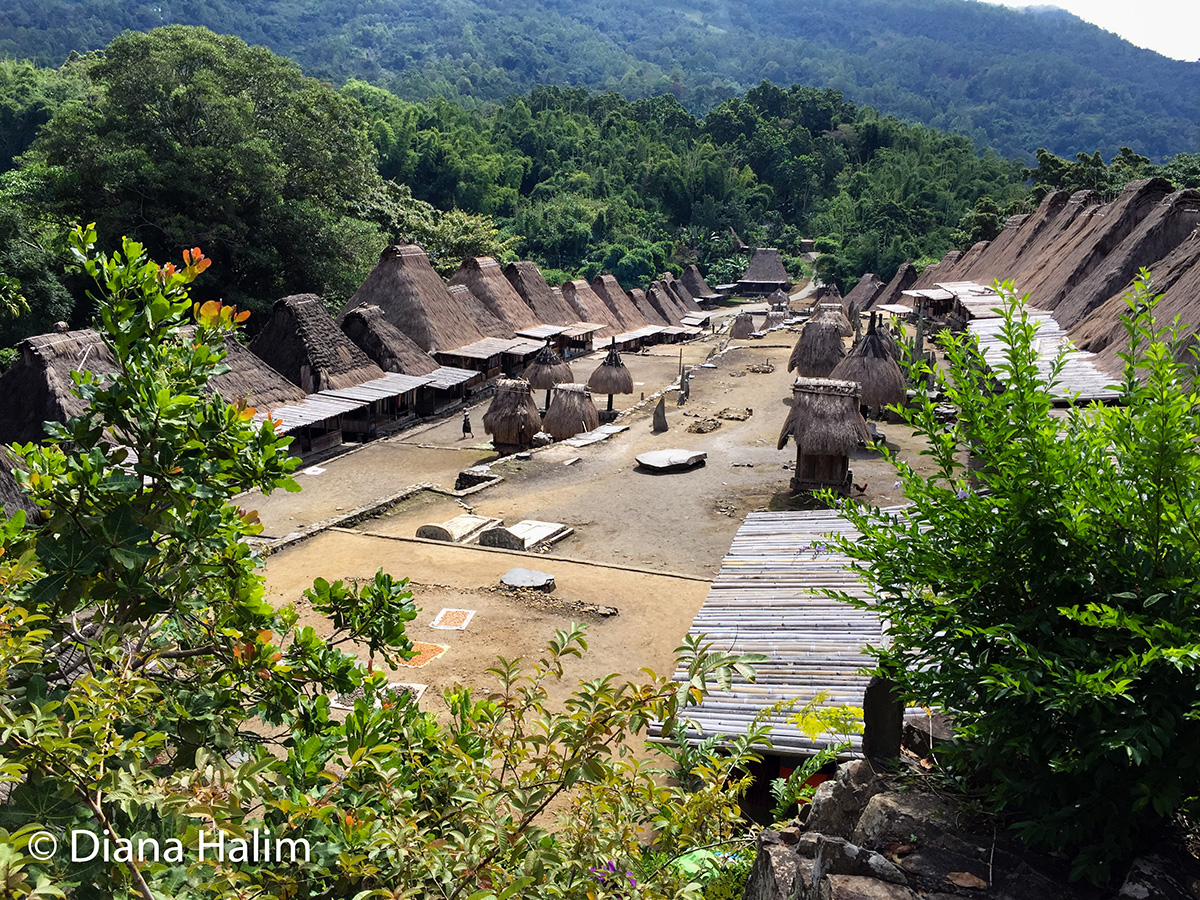 Ngada village
