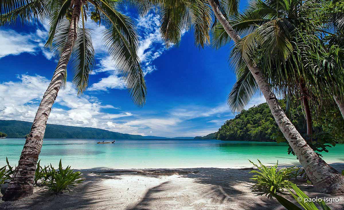 Triton Bay Divers Resort