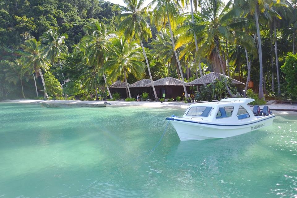 Triton Bay Divers Resort

