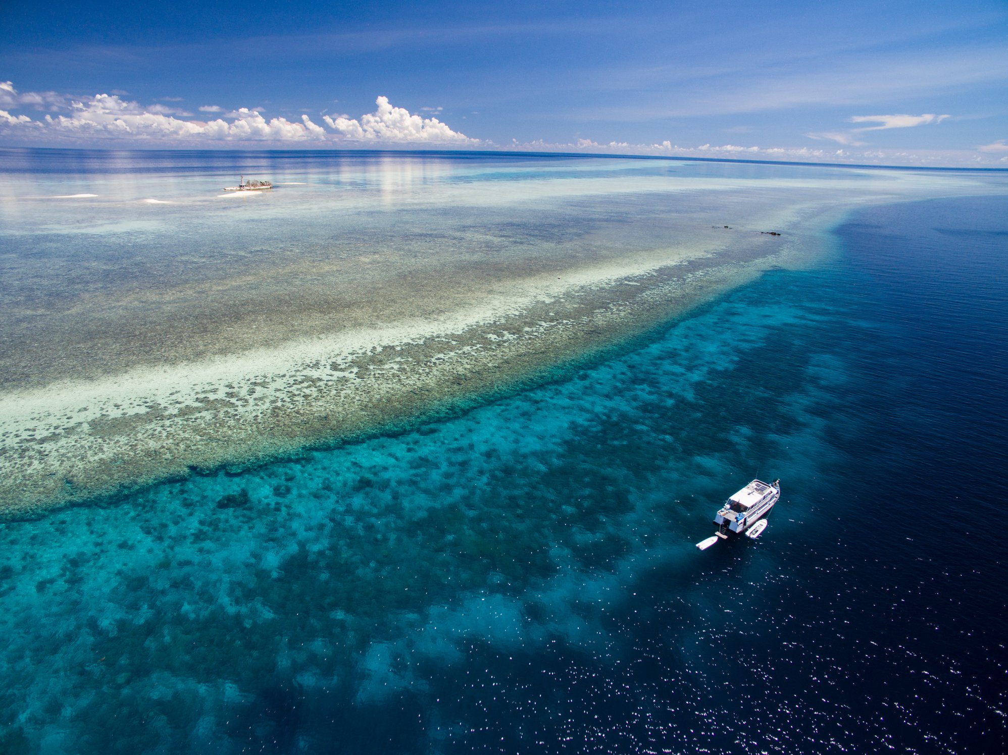 Dive cruises in Tubbataha Reef
