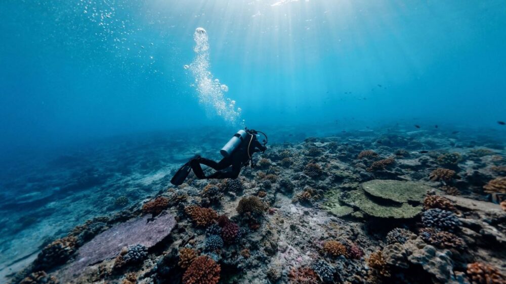 Scuba diving in the Mentawai Islands